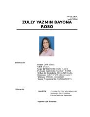 final hoja de vida zully 2222008.doc