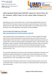 Galley Equipment Market Report 2018-2025- Analysis By Top Key Player Like Aerospace, JAMCO, Kang Li Far East, Loipart, Zodiac Aerospace, GN Espace.pdf